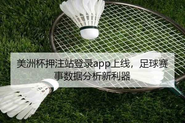 美洲杯押注站登录app上线，足球赛事数据分析新利器