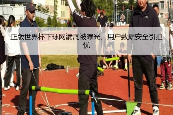 正版世界杯下球网漏洞被曝光，用户数据安全引担忧