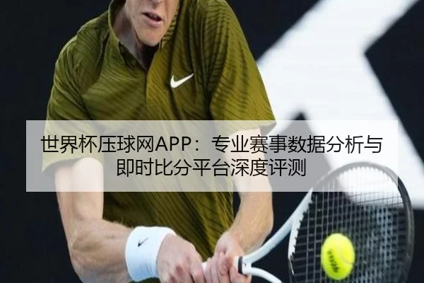 世界杯压球网APP：专业赛事数据分析与即时比分平台深度评测